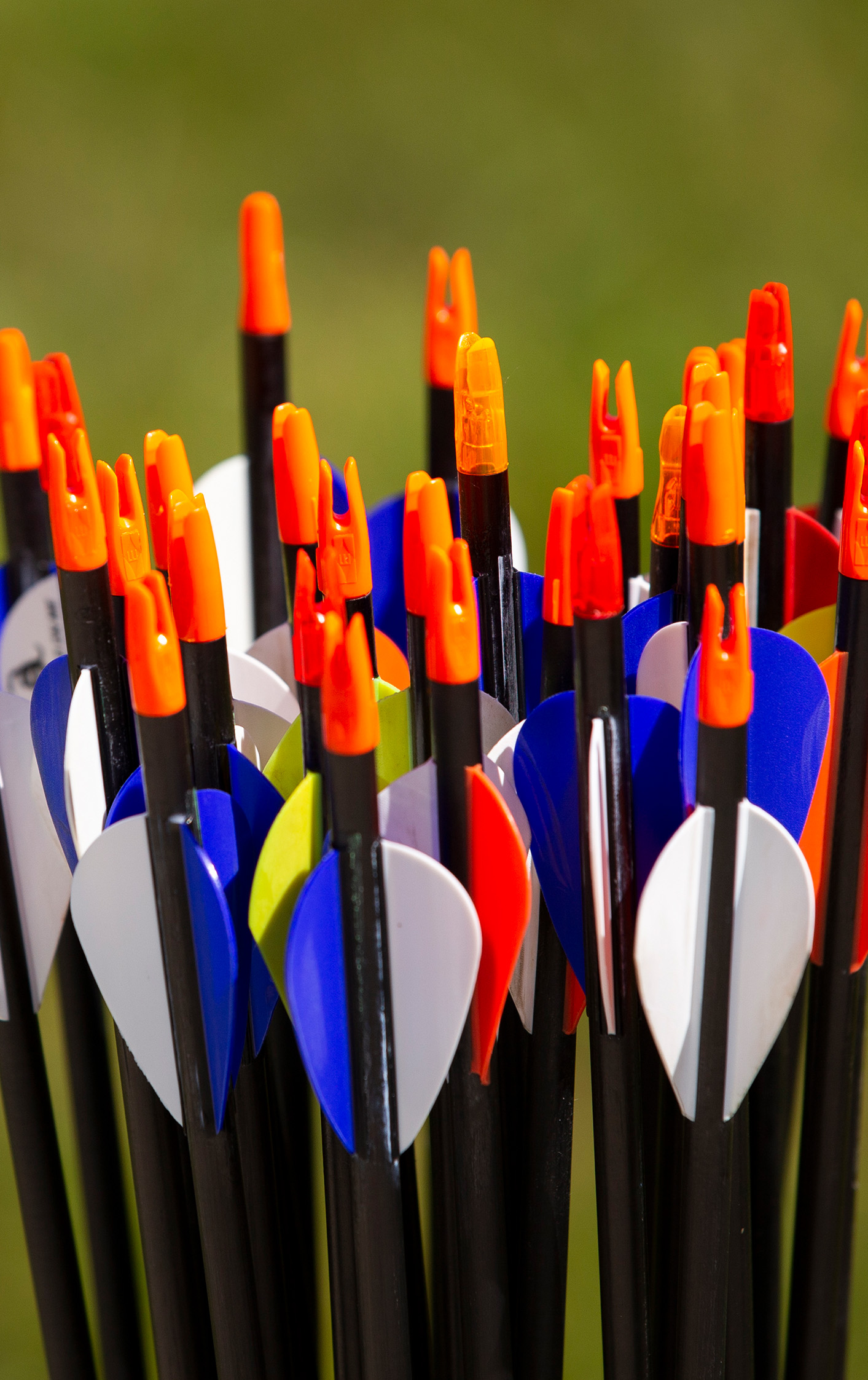 Close up of colorful arrows.